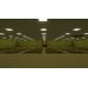 Backrooms Level X PC Steam CD Key