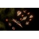 Stellaris - BioGenesis DLC RoW PC Steam CD Key