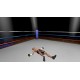 The Thrill of the Fight - VR Boxing Meta Quest Gift