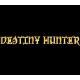 Destiny Hunter PC Steam CD Key