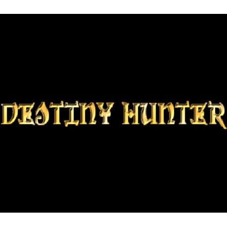 Destiny Hunter PC Steam CD Key