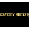Destiny Hunter PC Steam CD Key