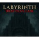 Labyrinth : Dracula's lair PC Steam CD Key