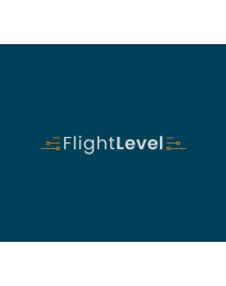 Flight Level PC Steam CD Key