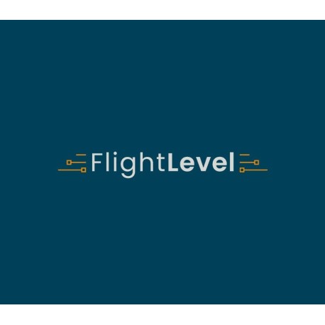 Flight Level PC Steam CD Key