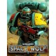 Warhammer 40,000: Space Wolf Steam CD Key