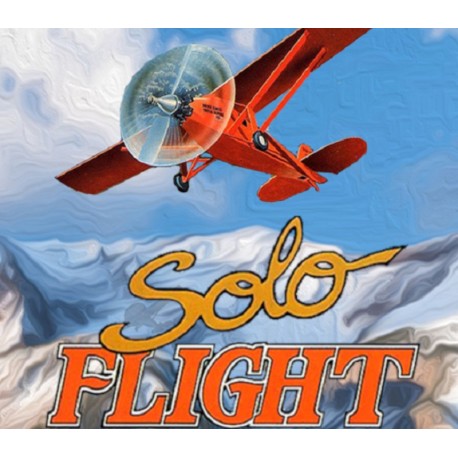 Solo Flight PC GOG CD Key