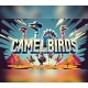 Camelbirds PC Steam CD Key