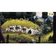 The Guardian of Nature PC Steam CD Key