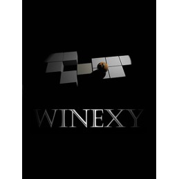 Winexy Steam CD Key