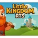 Little Kingdom RTS PC Steam CD Key