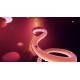 Arise: A Simple Story EU PC Steam CD Key