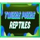 Twizzle Puzzle: Reptiles Steam CD Key