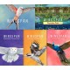 Wingspan + European + Oceania + Asia + Decorative Packs XBOX One / Xbox Series X|S Account