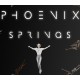 Phoenix Springs PC Steam CD Key