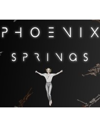 Phoenix Springs PC Steam CD Key