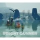 BrightGunner PC Steam CD Key