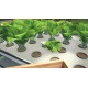 Hydroponics Farm & Store Simulator PC Steam CD Key