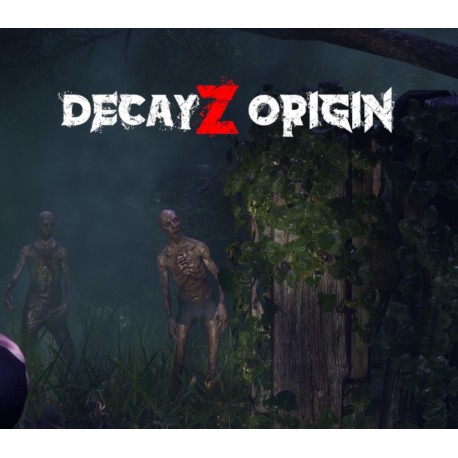 DecayZ Origin PC Steam CD Key