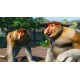 Planet Zoo - Southeast Asia Animal Pack DLC RoW PC Steam CD Key