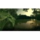 Ultimate Fishing Simulator - Amazon River DLC EU PC Steam CD Key