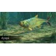 Ultimate Fishing Simulator - Amazon River DLC EU PC Steam CD Key