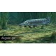 Ultimate Fishing Simulator - Amazon River DLC EU PC Steam CD Key