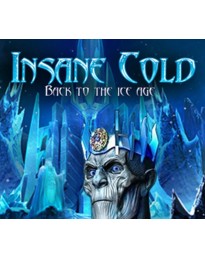 Insane Cold Back to the Ice Age PC Steam CD Key