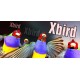Xbird Steam CD Key