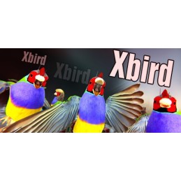 Xbird Steam CD Key