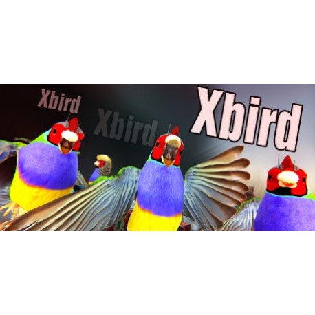 Xbird Steam CD Key