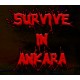 Survive in Ankara PC Steam CD Key