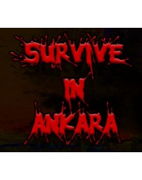 Survive in Ankara PC Steam CD Key