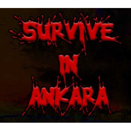 Survive in Ankara PC Steam CD Key
