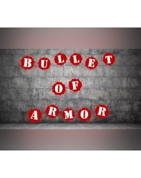 Bullet of Armor PC Steam CD Key