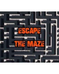 Escape The Maze PC Steam CD Key