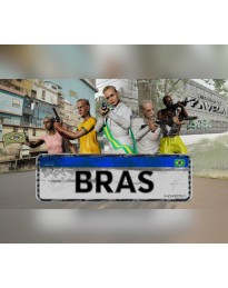 BRAS PC Steam CD Key