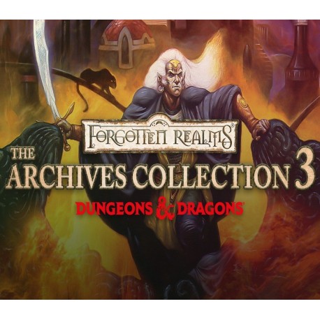 Forgotten Realms: The Archives - Collection Three PC Steam CD Key