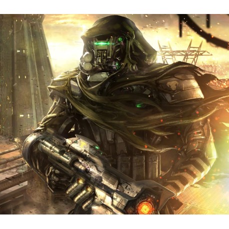 Fallen: A2P Protocol Steam Gift