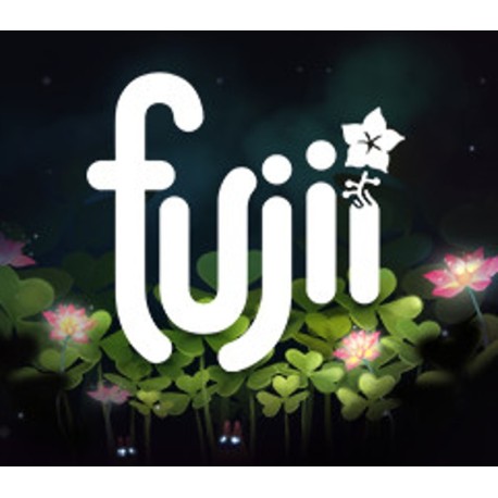 Fujii EU PC Steam CD Key
