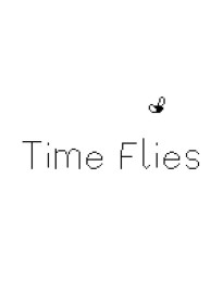 Time Flies PC Steam CD Key