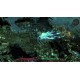 Grim Dawn - Ashes of Malmouth Expansion DLC Steam CD Key