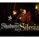 1428: Shadows over Silesia PC GOG CD Key