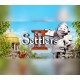 The Settlers 2: The 10th Anniversary EU PC GOG CD Key
