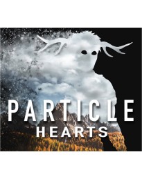 Particle Hearts PC Steam CD Key