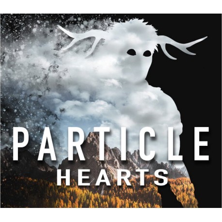 Particle Hearts PC Steam CD Key
