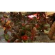 Warhammer 40,000: Dawn of War Anniversary Edition EU PC Steam CD Key