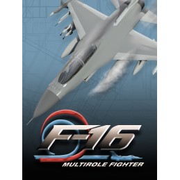F-16 Multirole Fighter Steam CD Key