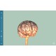 COSM Steam CD Key