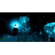 Blue Effect VR Steam CD Key